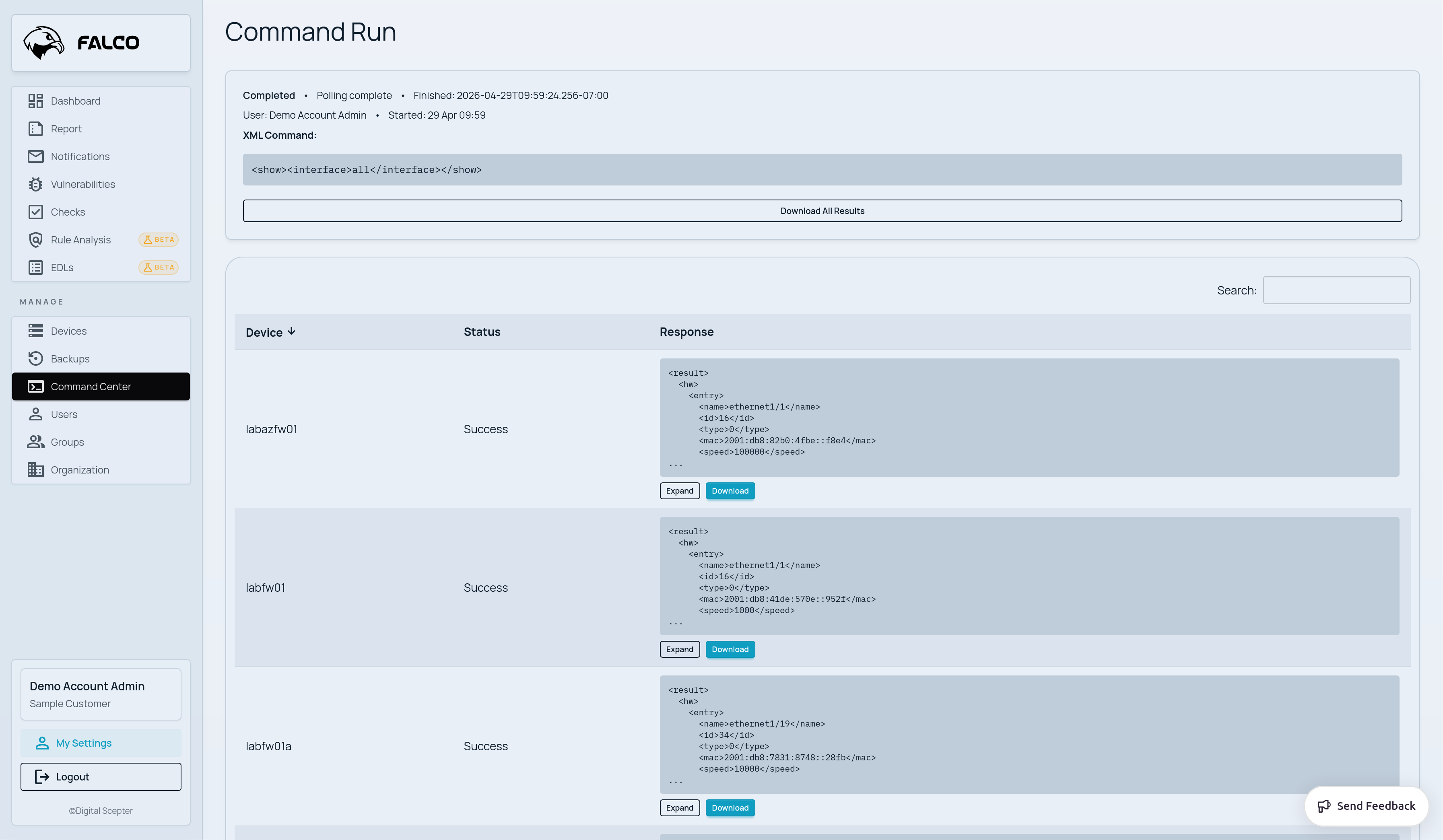 Example Falco command run view